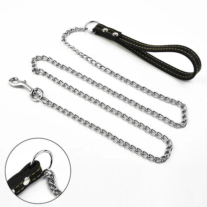 Polished Chain Leash