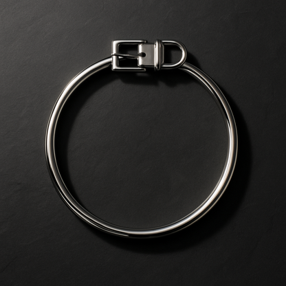 Obsidian Steel Locking Collar — Dark Fantasy