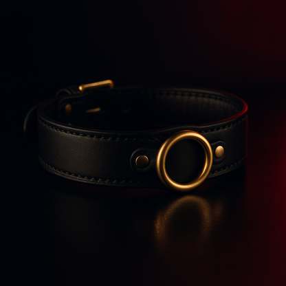 Signature Leather Collar - BDSM collar by Dark Fantasy